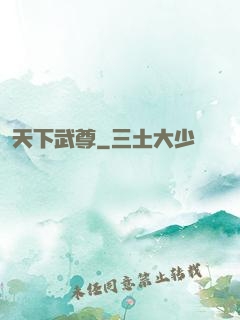 天下武尊