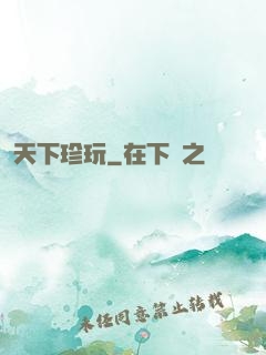 天下珍玩