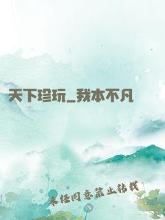 天下珍玩