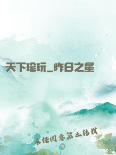 天下珍玩