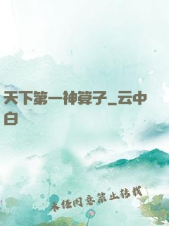 天下第一神算子