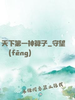 天下第一神算子