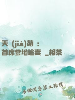 天價(jià)萌寶：首席爹地追妻記