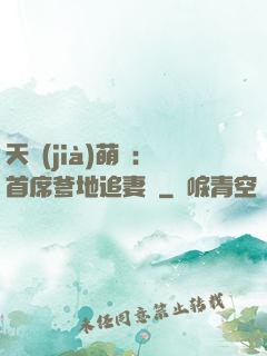 天價(jià)萌寶：首席爹地追妻記