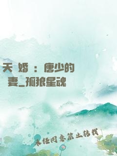 天價婚愛：唐少的終極寵妻