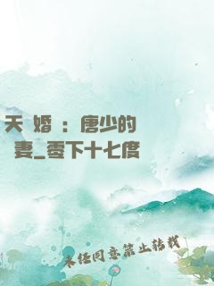 天價婚愛：唐少的終極寵妻