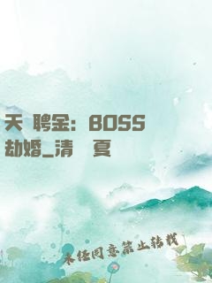 天價聘金：BOSS來劫婚