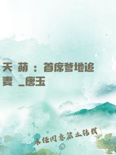 天價萌寶：首席爹地追妻記