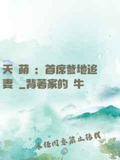 天價萌寶：首席爹地追妻記