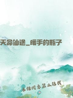 天命仙途