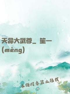 天命大武尊