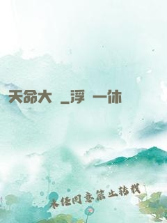 天命大盜