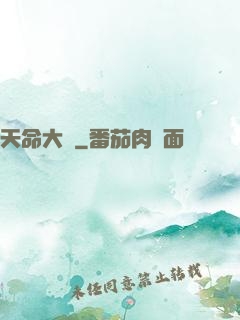 天命大盜