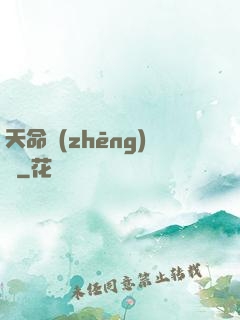 天命爭(zhēng)鋒