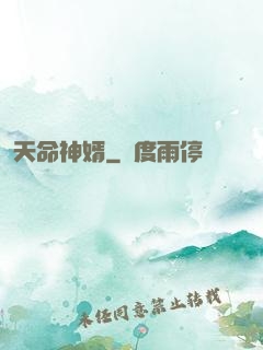 天命神婿
