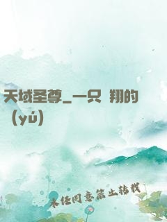 天域圣尊