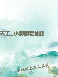 天工