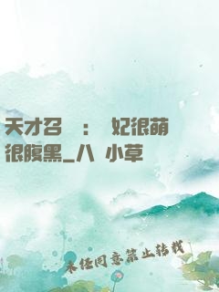 天才召喚師：寵妃很萌很腹黑