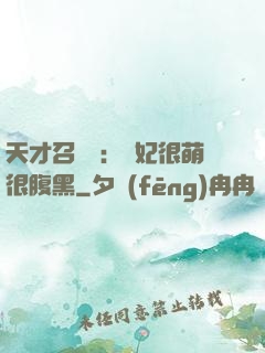 天才召喚師：寵妃很萌很腹黑