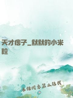 天才痞子