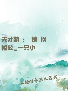 天才萌寶：給娘親找個相公