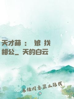 天才萌寶：給娘親找個相公