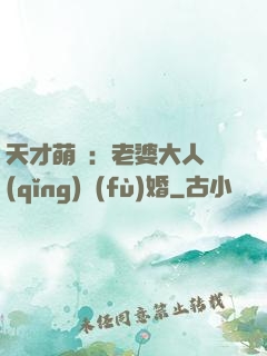 天才萌寶：老婆大人請(qǐng)復(fù)婚