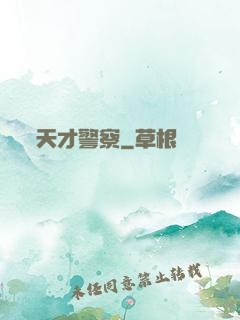 天才警察