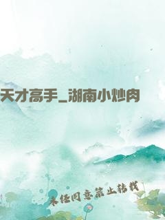 天才高手