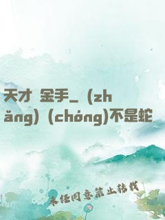 天才黃金手