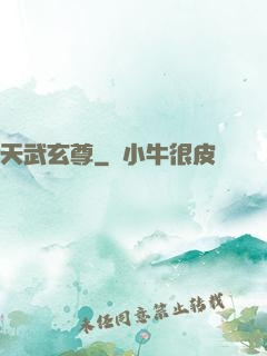 天武玄尊