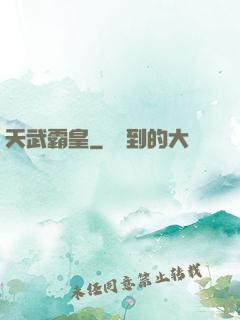 天武霸皇