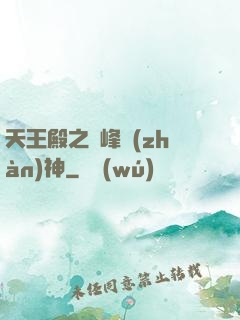 天王殿之巔峰戰(zhàn)神
