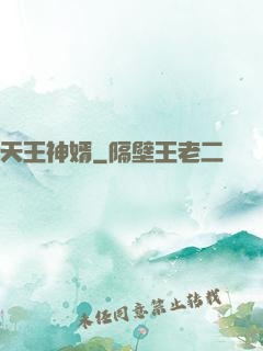 天王神婿