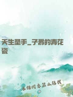 天生圣手