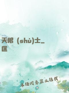 天眼術(shù)士