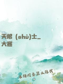 天眼術(shù)士