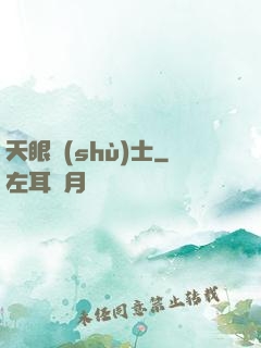 天眼術(shù)士