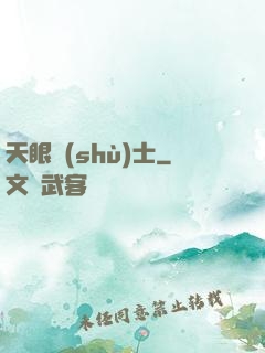 天眼術(shù)士