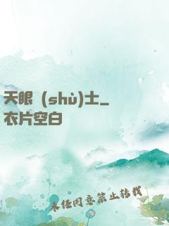 天眼術(shù)士