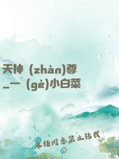 天神戰(zhàn)尊