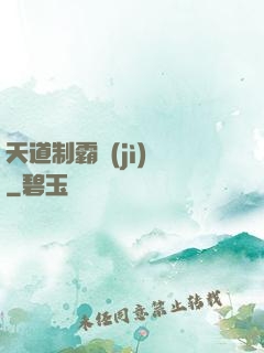 天道制霸計(jì)劃