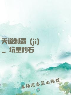 天道制霸計(jì)劃