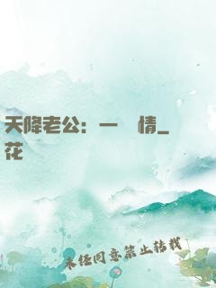 天降老公：一寵鐘情