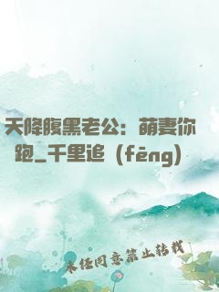天降腹黑老公：萌妻你別跑