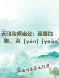 天降腹黑老公：萌妻你別跑