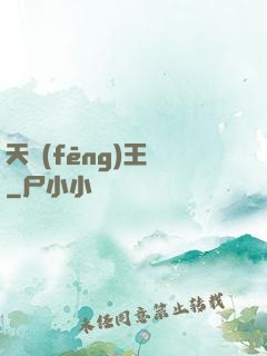 天風(fēng)王爺