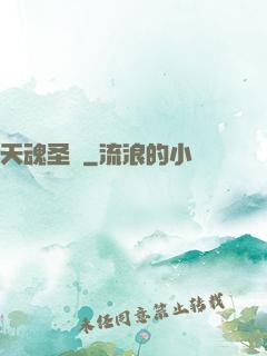 天魂圣體