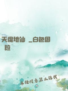 天魔地仙記