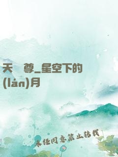 天龍劍尊